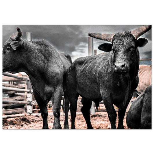 35c67f9b-2bf0-4c2d-a8d7-fea2e03c5f31