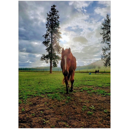 83432558-fdc7-4b84-a3e8-e49841fe422d