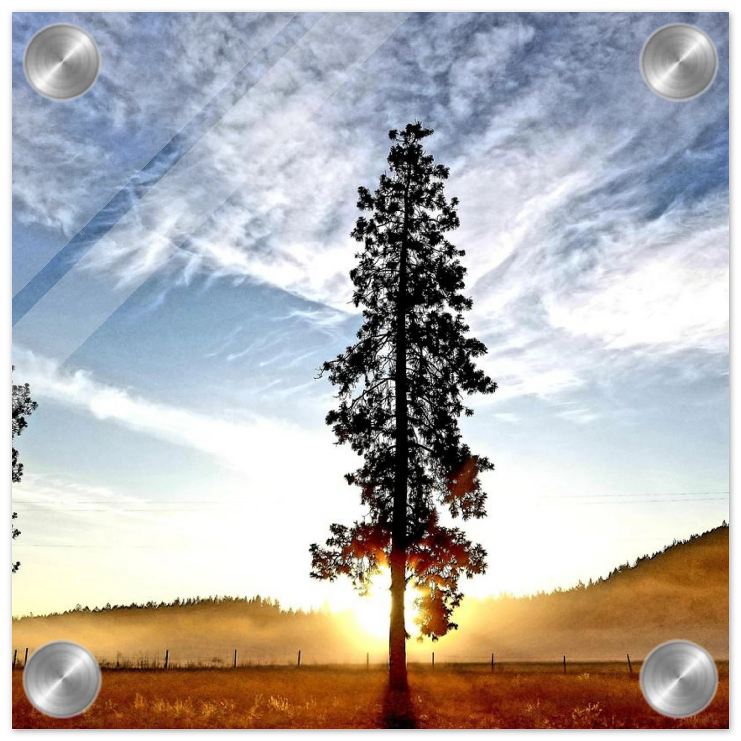 f614d747-4269-4754-955b-0920a80cbd47
