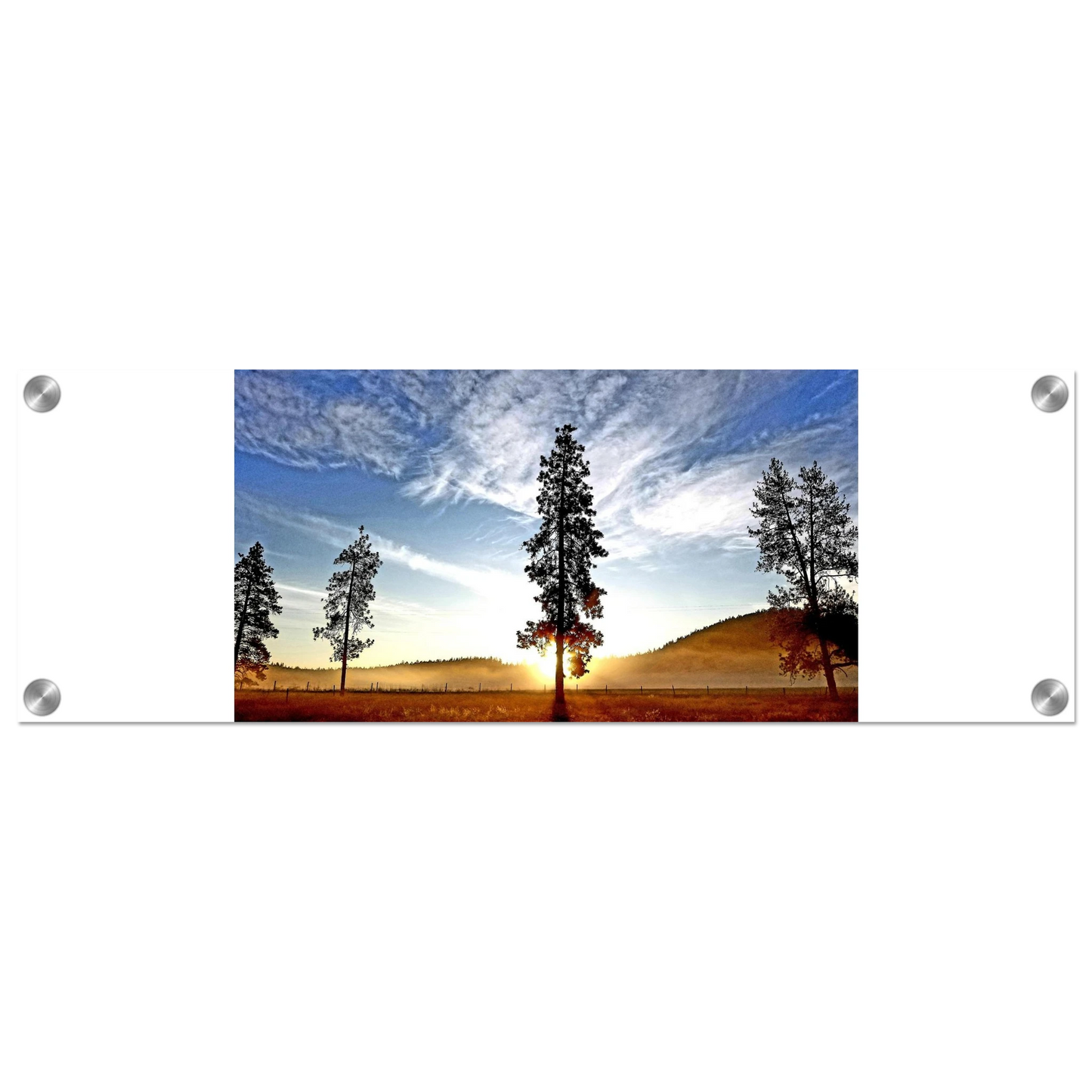 11a0f572-2d1a-47d1-8630-a97d3116cb4f