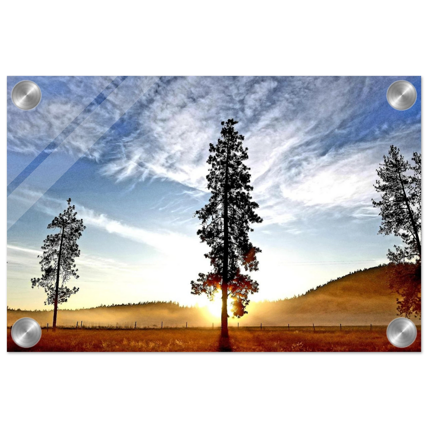 90e03539-bbd7-4a8c-aca4-3a1803e51cd3