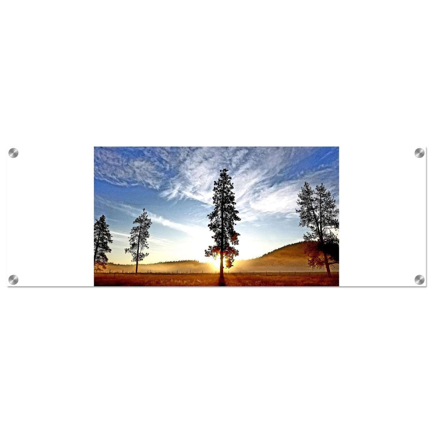 b53d36cd-d5ee-446c-9a65-f03d7432ffd0