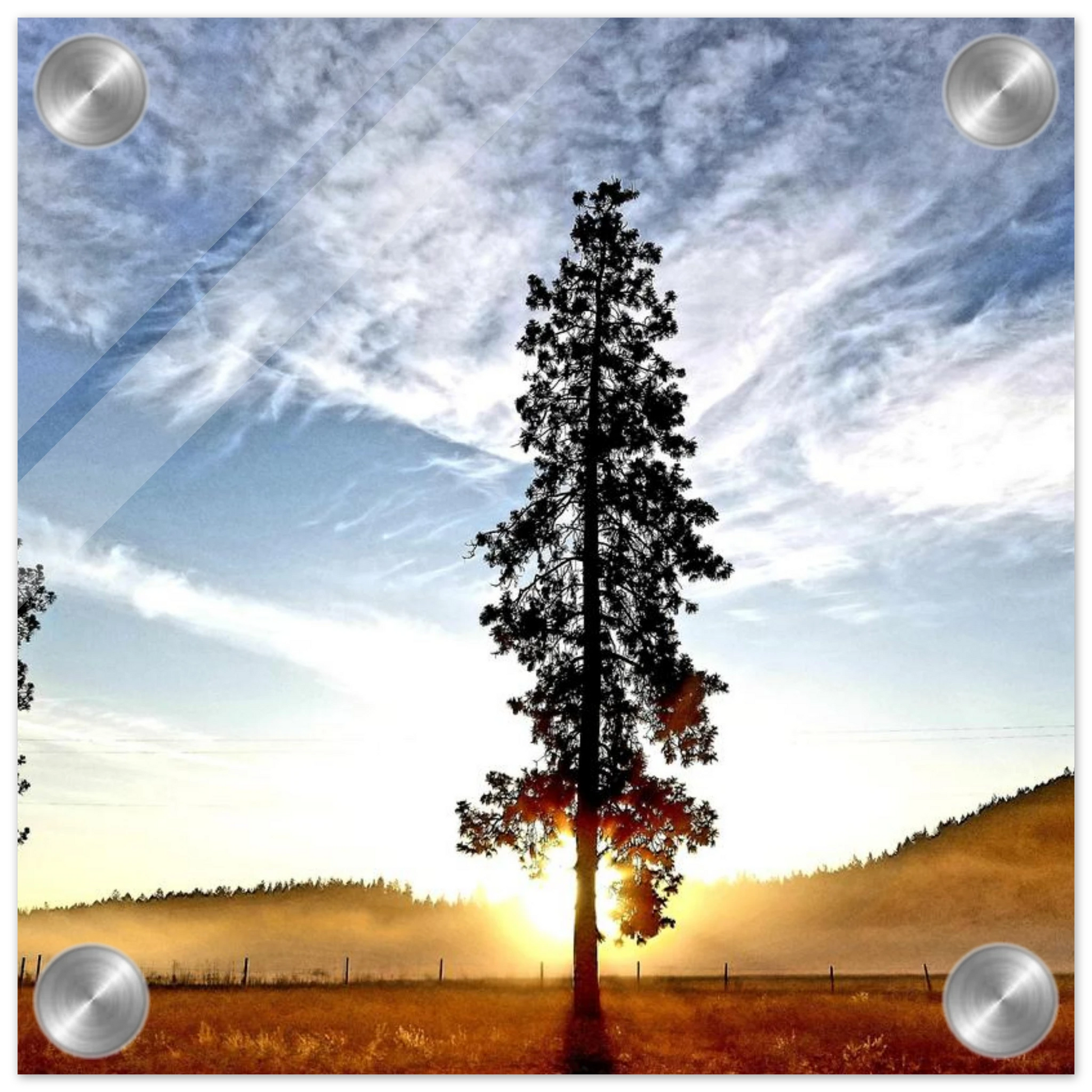 f614d747-4269-4754-955b-0920a80cbd47